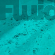 Fluidized Bed Coatings and Electrostatic Fluidized Bed Coatings